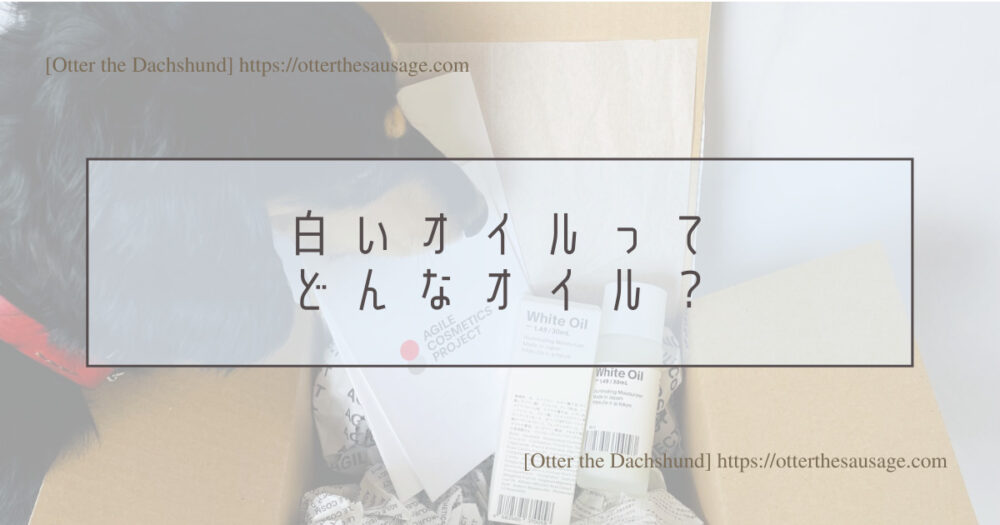 Header Image_Otter the Dachshund_犬のいる生活_【オーナーグッズ】忙しいオーナーさんの強い味方！夏こそ使いたい白いオイル本音レビュー_AGILE COSMETICS PROJECT_White Oil_白いオイルってどんなオイル？